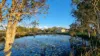 485 Torbanlea - Pialba Road, Takura, Qld 4655-Image