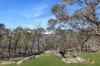 486 Billywillinga Road, Billywillinga, NSW 2795-Image