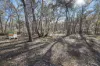 486 Billywillinga Road, Billywillinga, NSW 2795-Image