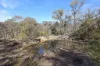 486 Billywillinga Road, Billywillinga, NSW 2795-Image