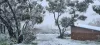 486 Billywillinga Road, Billywillinga, NSW 2795-Image