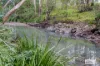 4867 The Bucketts Way, Kundibakh, NSW 2429