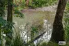 4867 The Bucketts Way, Kundibakh, NSW 2429-Image