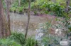 4867 The Bucketts Way, Kundibakh, NSW 2429-Image