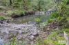 4867 The Bucketts Way, Kundibakh, NSW 2429-Image
