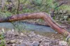 4867 The Bucketts Way, Kundibakh, NSW 2429-Image