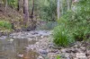 4867 The Bucketts Way, Kundibakh, NSW 2429-Image