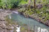 4867 The Bucketts Way, Kundibakh, NSW 2429-Image