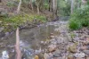 4867 The Bucketts Way, Kundibakh, NSW 2429-Image