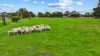 49 Old Padthaway Road, Mundulla, SA 5270-Image