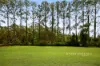 49 O'leary Avenue, Burpengary East, Qld 4505-Image