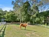 49 Veronica Drive, Tallai, Qld 4213-Image