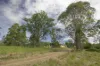494 Tipperary Road, Tipperary, NSW 2429-Image
