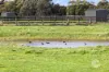495 Tyabb Tooradin Road, Pearcedale, Vic 3912-Image