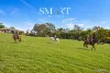 5-7 Brixton Court, Tallai, Qld 4213-Image