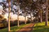 5 Blomfield Road, Denham Court, NSW 2565