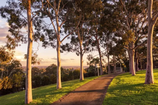 5 Blomfield Road, Denham Court, NSW 2565