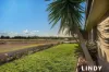 5 Coachmans Drive, Singleton, NSW 2330-Image