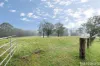 5 Dondingalong Road, Dondingalong, NSW 2440-Image