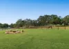 5 Luca Court, Willow Vale, Qld 4209-Image