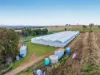 5 Old Warwick Road, Peak Crossing, Qld 4306-Image