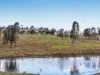 5 Old Warwick Road, Peak Crossing, Qld 4306-Image