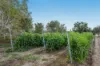 5 Old Warwick Road, Peak Crossing, Qld 4306-Image