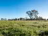 5 Wilson Road, Arcadia, Vic 3631-Image