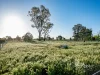 5 Wilson Road, Arcadia, Vic 3631-Image