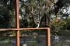 50 Acacia Road, Raymond Island, Vic 3880-Image