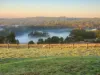 50 Molesworth Court, Gordon, Vic 3345-Image