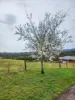 50 Molesworth Court, Gordon, Vic 3345-Image