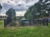 50 Molesworth Court, Gordon, Vic 3345-Image