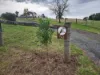 50 Molesworth Court, Gordon, Vic 3345-Image