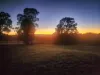 50 Molesworth Court, Gordon, Vic 3345-Image