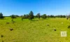 50 Newtons Road, Dumaresq Island, NSW 2430-Image