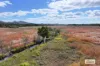 50 Oaky Valley Avenue, Mutchilba, Qld 4872-Image