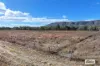 50 Oaky Valley Avenue, Mutchilba, Qld 4872-Image