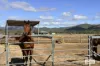 50 Oaky Valley Avenue, Mutchilba, Qld 4872-Image