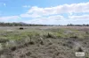 50 Oaky Valley Avenue, Mutchilba, Qld 4872-Image