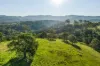 50 Omaru Lane, Bald Hills, NSW 2549-Image