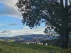 50 Omaru Lane, Bald Hills, NSW 2549-Image