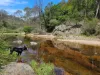 50 Omaru Lane, Bald Hills, NSW 2549-Image