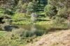50 Omaru Lane, Bald Hills, NSW 2549-Image