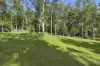 50 Pittas Place, Willow Vale, Qld 4209-Image