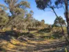 50 Red Lion Road, Red Lion, Vic 3371-Image