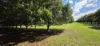 502 Wardell Road, Alstonville, NSW 2477-Image