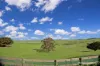 5035 Glenelg Highway, Casterton, Vic 3311-Image