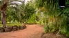 506 Millstream Parade, Millstream, Qld 4888-Image