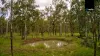 506 Millstream Parade, Millstream, Qld 4888-Image